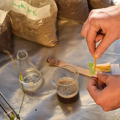 Soil moisture temperature sensor for soil rapid testing