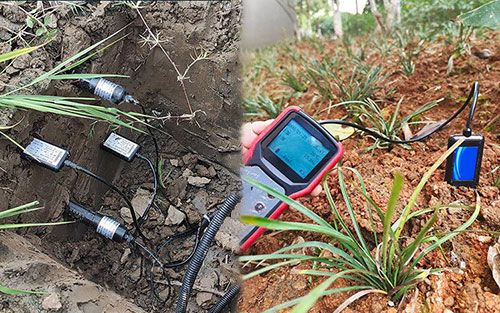Soil moisture temperature sensor use cases
