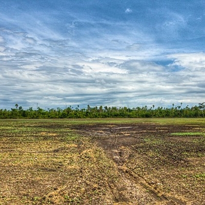 Soil water evaporation and total energy loss calculation