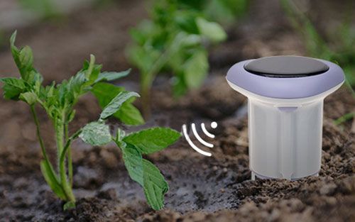 Soil detection