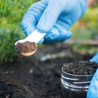 Speedy soil moisture sensor for soil research