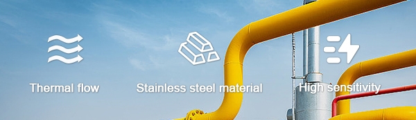 Stainless steel flow switch feature