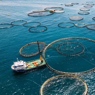 TDR soil moisture sensor for aquaculture