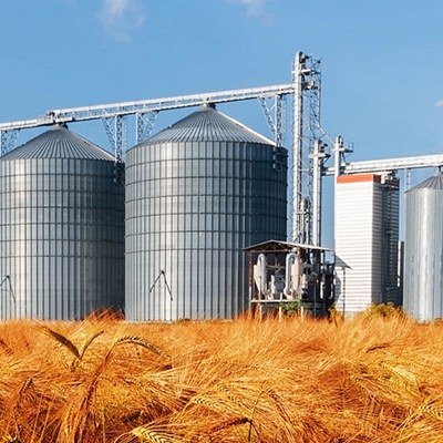 Temperature sensor for grain storage