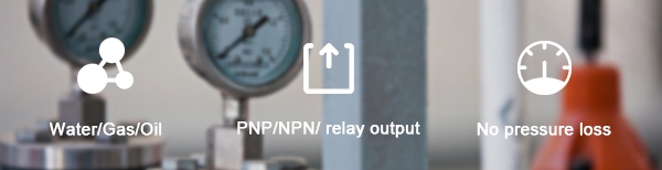 Thermal flow switch feature