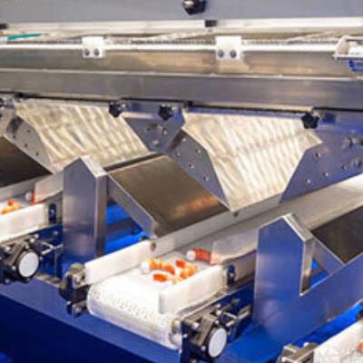 Vortex flow sensor for food processing