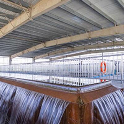 Vortex flow sensor for tap water