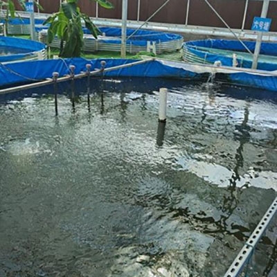 Water hardness sensor for aquaculture