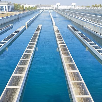 Water plant