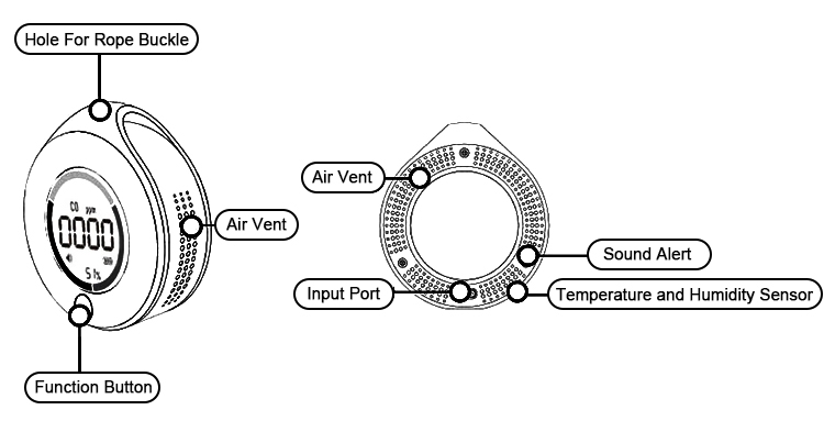 Smart carbon monoxide sensor detail